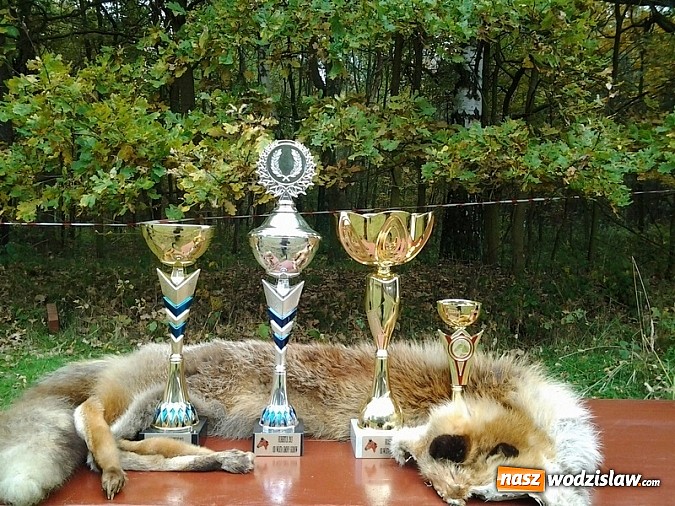 Zdjęcie w galerii na portalu naszwodzislaw.com:  W Godowie złapali lisa wiadomości z regionu