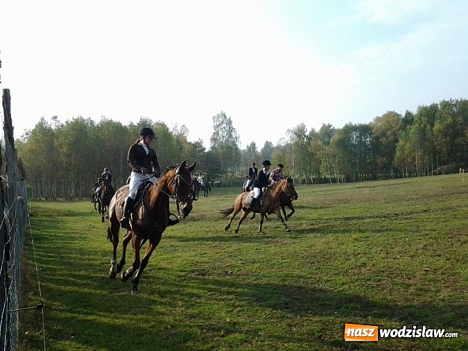 Zdjęcie w galerii na portalu naszwodzislaw.com:  W Godowie złapali lisa wiadomości z regionu