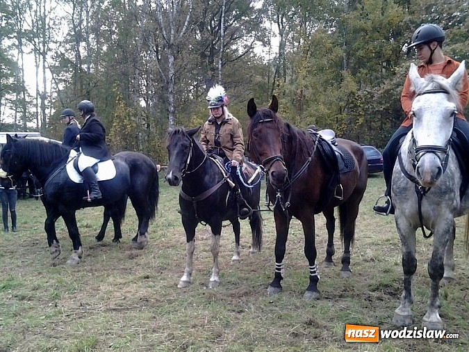 Zdjęcie w galerii na portalu naszwodzislaw.com:  W Godowie złapali lisa wiadomości z regionu