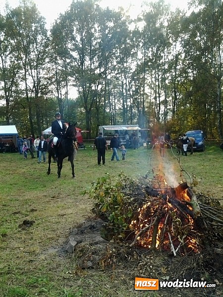 Zdjęcie w galerii na portalu naszwodzislaw.com:  W Godowie złapali lisa wiadomości z regionu