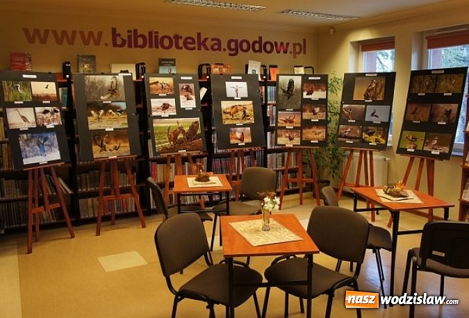 Zdjęcie w galerii na portalu naszwodzislaw.com: Ptaki naszego regionu w Godowie wiadomości z regionu