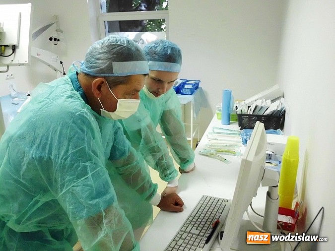 Zdjęcie w galerii na portalu naszwodzislaw.com: Ósemki - zęby mądrości, czyli więcej kłopotu niż pożytku wiadomości z regionu