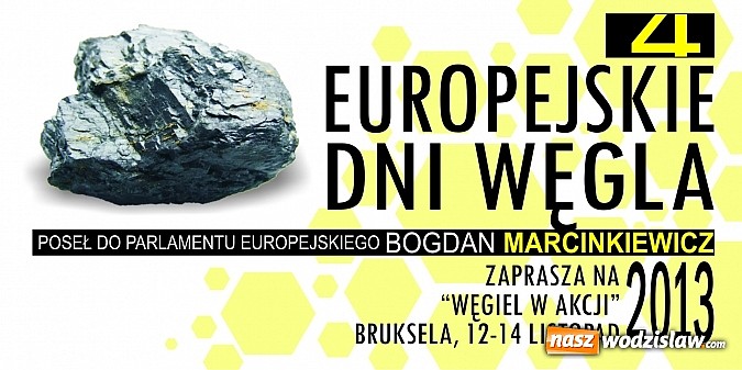 Zdjęcie w galerii na portalu naszwodzislaw.com: IV Europejskie Dni Węgla w Parlamencie Europejskim wiadomości z regionu
