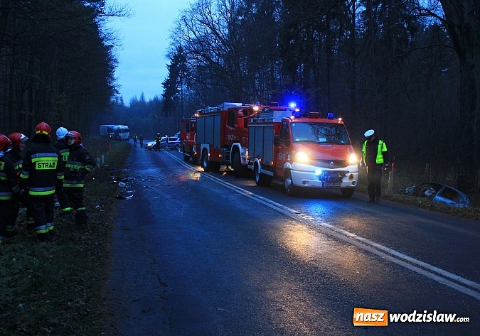 Zdjęcie w galerii na portalu naszwodzislaw.com: Tragiczny wypadek na DW 935. Nie żyje wodzisławianin wiadomości z regionu