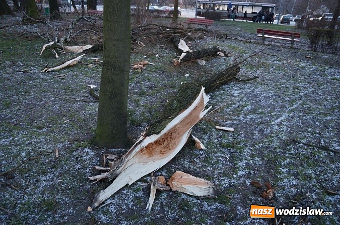 Zdjęcie w galerii na portalu naszwodzislaw.com: Pracownicy SKM usuwali skutki wichury wiadomości z regionu