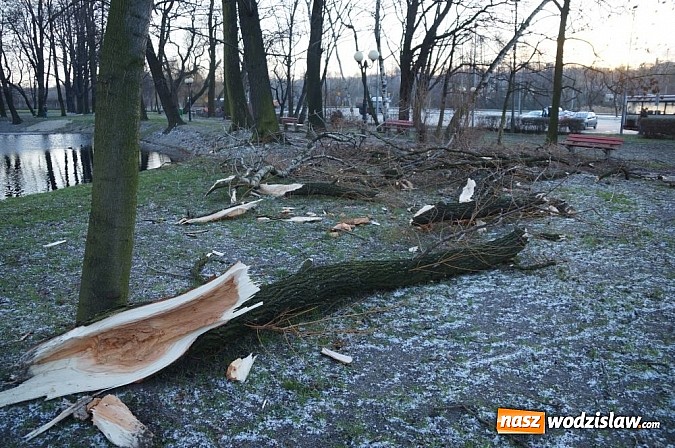 Zdjęcie w galerii na portalu naszwodzislaw.com: Pracownicy SKM usuwali skutki wichury wiadomości z regionu