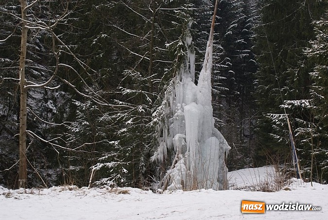 Zdjęcie w galerii na portalu naszwodzislaw.com: Przednia zabawa w czasie kuligu wiadomości z regionu