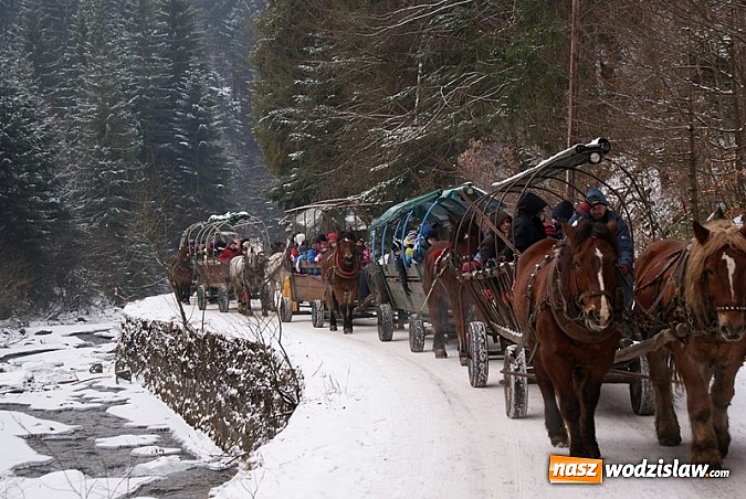 Zdjęcie w galerii na portalu naszwodzislaw.com: Przednia zabawa w czasie kuligu wiadomości z regionu