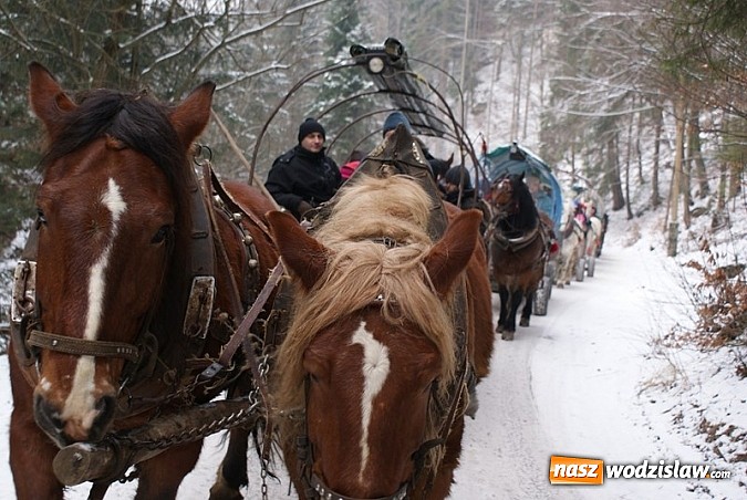 Zdjęcie w galerii na portalu naszwodzislaw.com: Przednia zabawa w czasie kuligu wiadomości z regionu