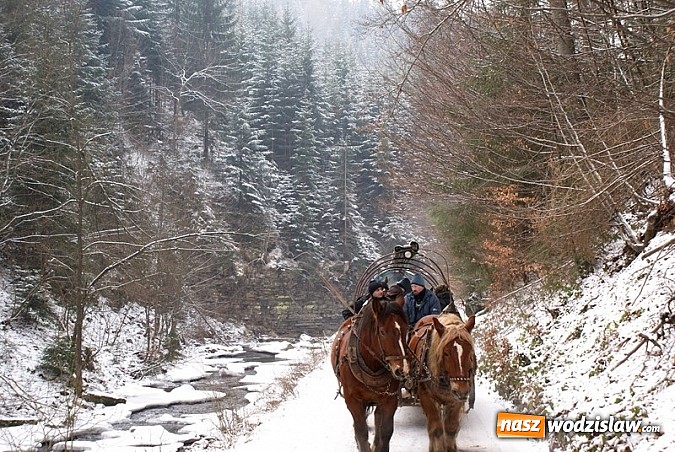 Zdjęcie w galerii na portalu naszwodzislaw.com: Przednia zabawa w czasie kuligu wiadomości z regionu