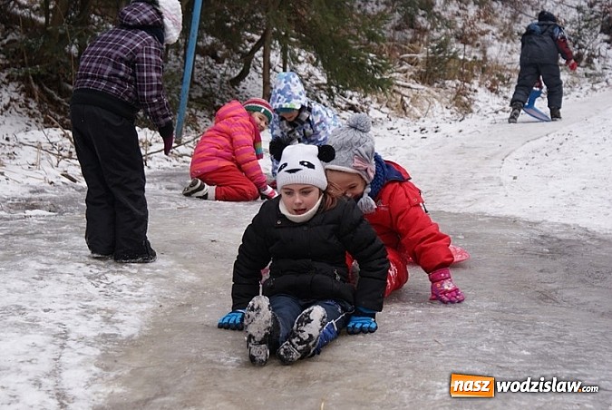Zdjęcie w galerii na portalu naszwodzislaw.com: Przednia zabawa w czasie kuligu wiadomości z regionu