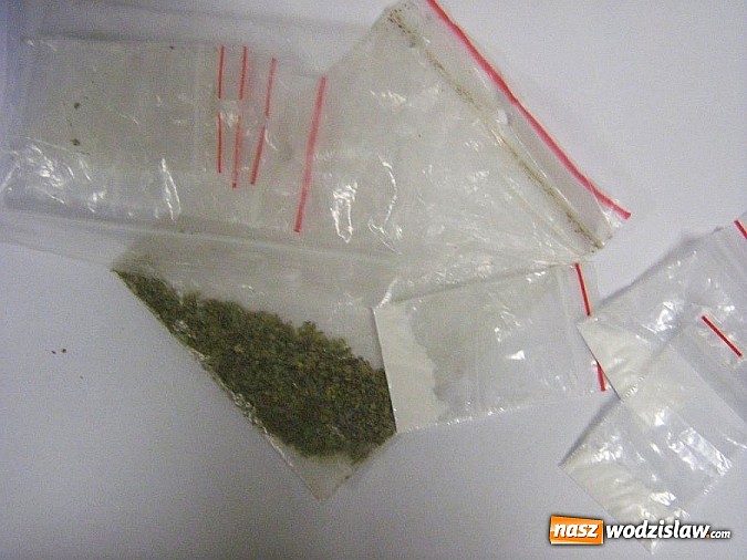 Zdjęcie w galerii na portalu naszwodzislaw.com: Pracowity początek tygodnia - raporty z akcji policyjnych wiadomości z regionu