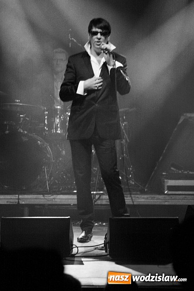 Zdjęcie w galerii na portalu naszwodzislaw.com: Na Walentynki Maleńczuk wystąpił w WCK wiadomości z regionu