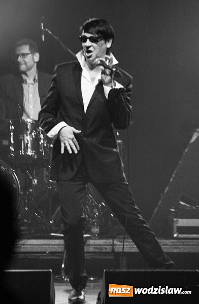 Zdjęcie w galerii na portalu naszwodzislaw.com: Na Walentynki Maleńczuk wystąpił w WCK wiadomości z regionu