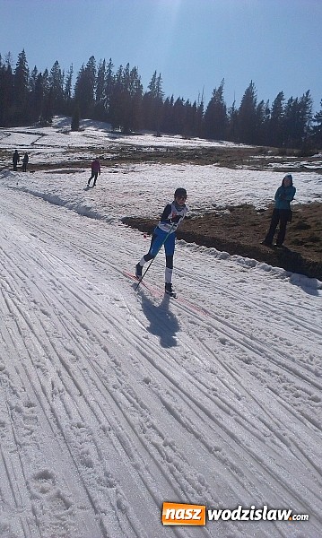 Zdjęcie w galerii na portalu naszwodzislaw.com: Szóste miejsce Natalii Sikory na Mistrzostwach Polski w biegach narciarskich wiadomości z regionu