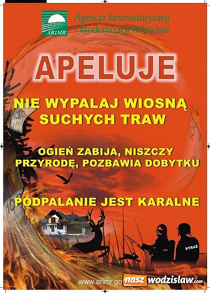 Zdjęcie w galerii na portalu naszwodzislaw.com: Wypalanie traw surowo zabronione! wiadomości z regionu