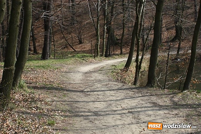 Zdjęcie w galerii na portalu naszwodzislaw.com: Będą nowe trasy rowerowe wiadomości z regionu