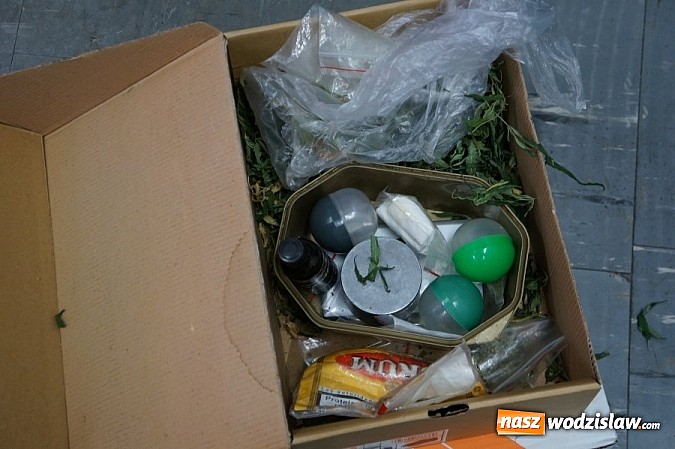 Zdjęcie w galerii na portalu naszwodzislaw.com: Narkotyki i broń w wynajmowanym mieszkaniu  wiadomości z regionu