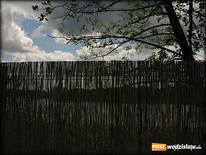 Zdjęcie w galerii na portalu naszwodzislaw.com: Ruda na finiszu - znamy ceny biletów wiadomości z regionu