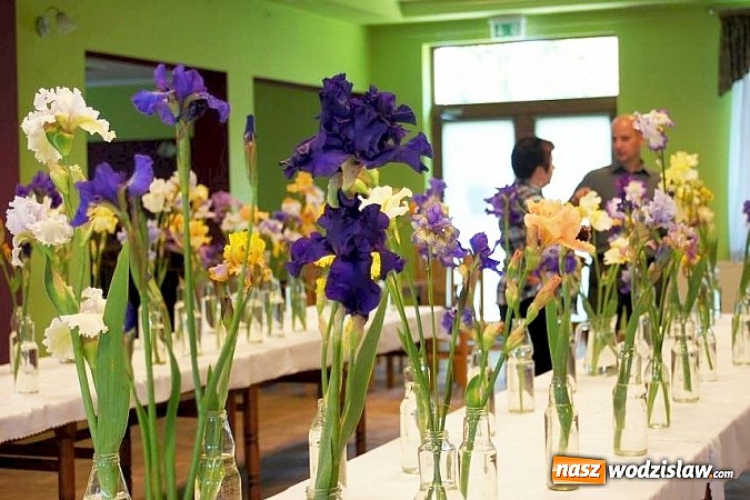 Zdjęcie w galerii na portalu naszwodzislaw.com: Barwnie i kolorowo na wystawie w Połomi wiadomości z regionu