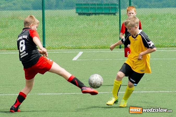 Zdjęcie w galerii na portalu naszwodzislaw.com: Orliki Bukowa rozbite w Tworkowie wiadomości z regionu