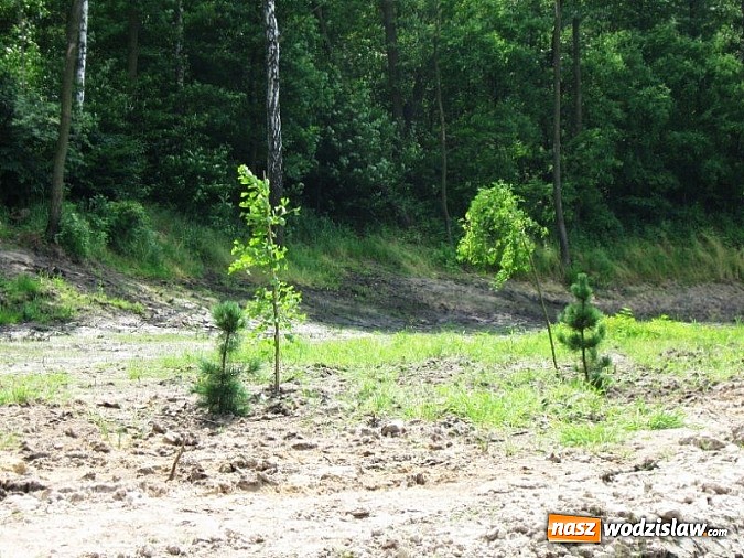 Zdjęcie w galerii na portalu naszwodzislaw.com: Sakandrzok zrewitalizowany wiadomości z regionu