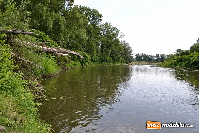 Zdjęcie w galerii na portalu naszwodzislaw.com: Meander Orient Express wiadomości z regionu