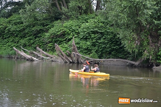 Zdjęcie w galerii na portalu naszwodzislaw.com: Meander Orient Express wiadomości z regionu