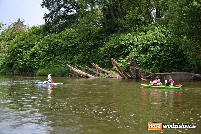 Zdjęcie w galerii na portalu naszwodzislaw.com: Meander Orient Express wiadomości z regionu