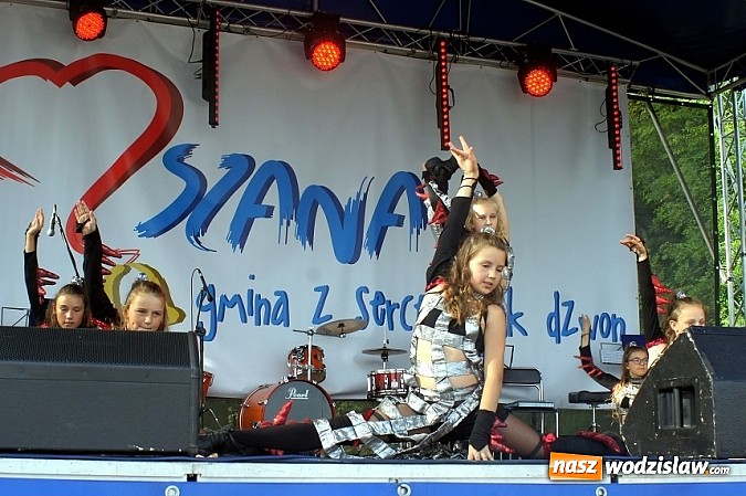 Zdjęcie w galerii na portalu naszwodzislaw.com: Trzy tysiące ludzi na festynie w Gogołowej wiadomości z regionu