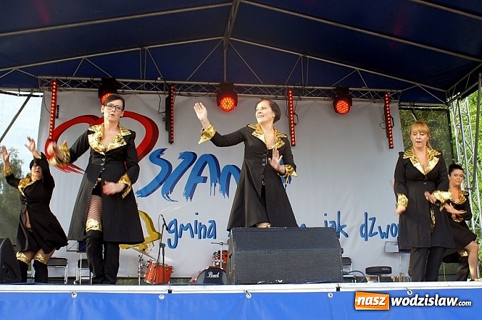 Zdjęcie w galerii na portalu naszwodzislaw.com: Trzy tysiące ludzi na festynie w Gogołowej wiadomości z regionu