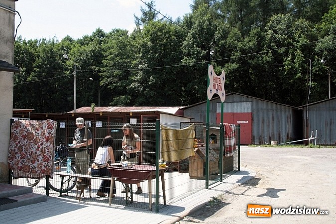 Zdjęcie w galerii na portalu naszwodzislaw.com: Co robić z naszymi pupilami, kiedy wyjeżdżamy na wakacje? wiadomości z regionu