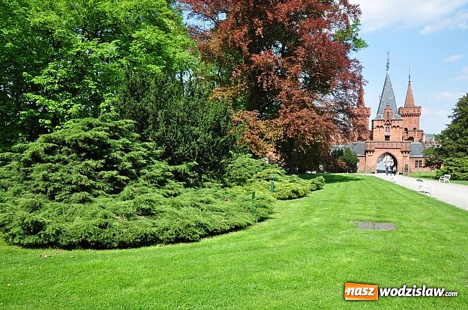 Zdjęcie w galerii na portalu naszwodzislaw.com: Wycieczka na weekend: Zamek w Hradcu wiadomości z regionu