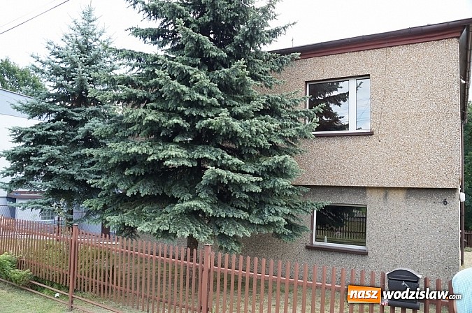 Zdjęcie w galerii na portalu naszwodzislaw.com: Szukasz domu do kupienia? wiadomości z regionu