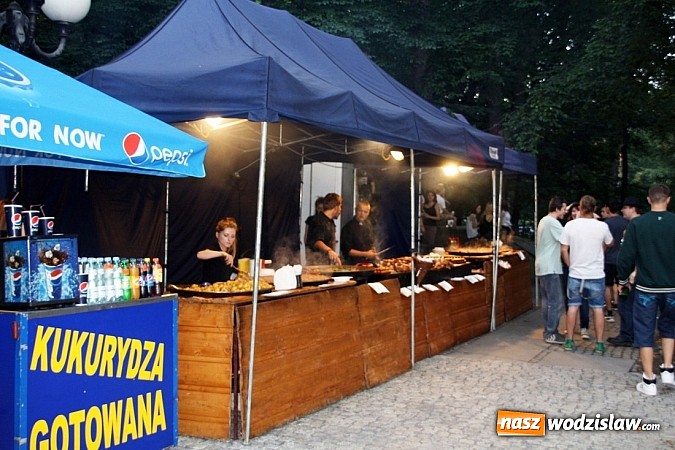 Zdjęcie w galerii na portalu naszwodzislaw.com: Pierwszy dzień festiwalu reggae za nami! wiadomości z regionu