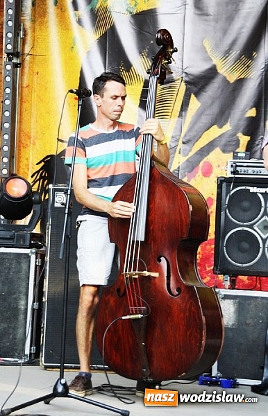 Zdjęcie w galerii na portalu naszwodzislaw.com: Wodzisław Śląski: Najcieplejsze Miejsce Na Ziemi! Kamil Bednarek na finał festiwalu reggae wiadomości z regionu