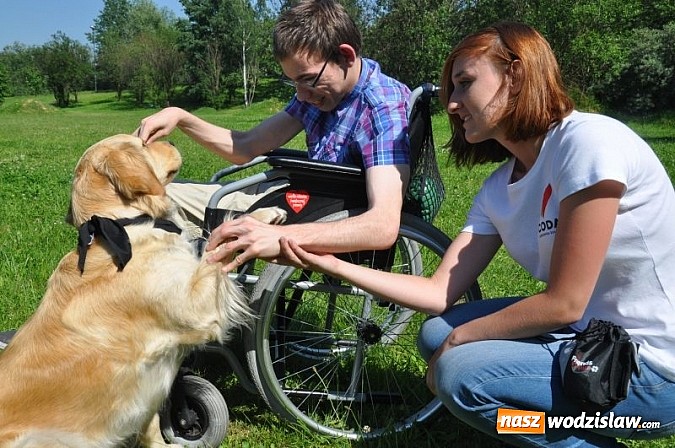 Zdjęcie w galerii na portalu naszwodzislaw.com: Dogoterapia już teraz w Rybniku wiadomości z regionu