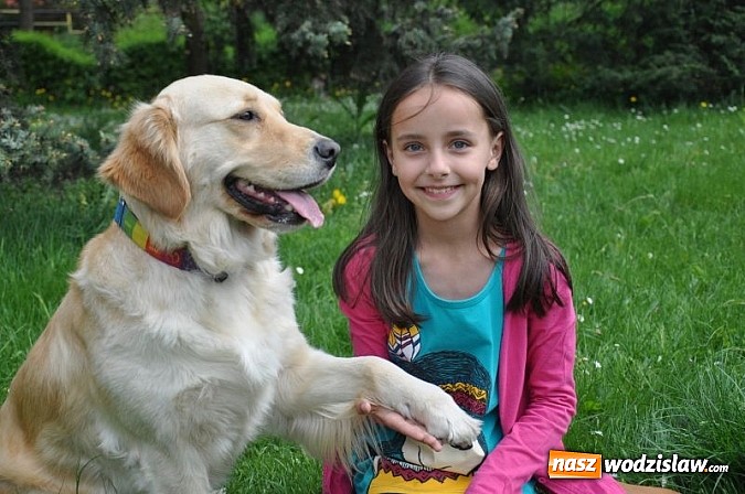 Zdjęcie w galerii na portalu naszwodzislaw.com: Dogoterapia już teraz w Rybniku wiadomości z regionu