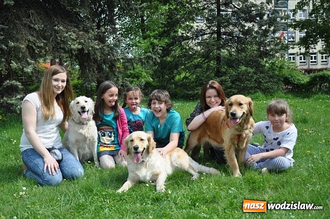 Zdjęcie w galerii na portalu naszwodzislaw.com: Dogoterapia już teraz w Rybniku wiadomości z regionu