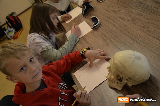 Zdjęcie w galerii na portalu naszwodzislaw.com: Trzecia odsłona muzealnych warsztatów archeologicznych wiadomości z regionu