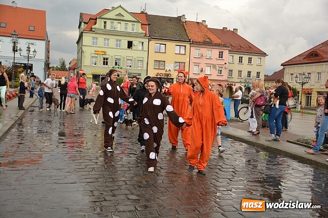 Zdjęcie w galerii na portalu naszwodzislaw.com: Zwierzęta przez kilka godzin rządziły na wodzisławskim rynku wiadomości z regionu