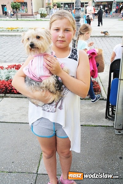 Zdjęcie w galerii na portalu naszwodzislaw.com: Zwierzęta przez kilka godzin rządziły na wodzisławskim rynku wiadomości z regionu