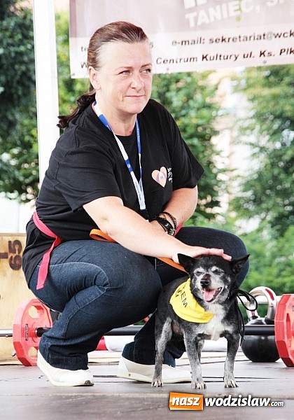 Zdjęcie w galerii na portalu naszwodzislaw.com: Zwierzęta przez kilka godzin rządziły na wodzisławskim rynku wiadomości z regionu