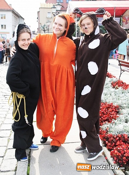 Zdjęcie w galerii na portalu naszwodzislaw.com: Zwierzęta przez kilka godzin rządziły na wodzisławskim rynku wiadomości z regionu