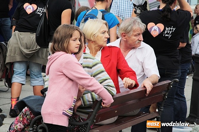 Zdjęcie w galerii na portalu naszwodzislaw.com: Zwierzęta przez kilka godzin rządziły na wodzisławskim rynku wiadomości z regionu