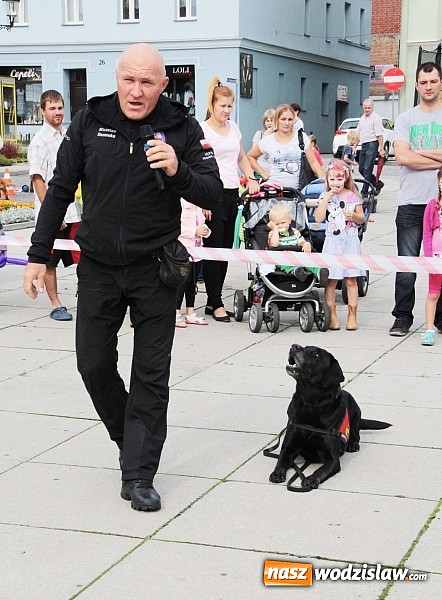 Zdjęcie w galerii na portalu naszwodzislaw.com: Zwierzęta przez kilka godzin rządziły na wodzisławskim rynku wiadomości z regionu