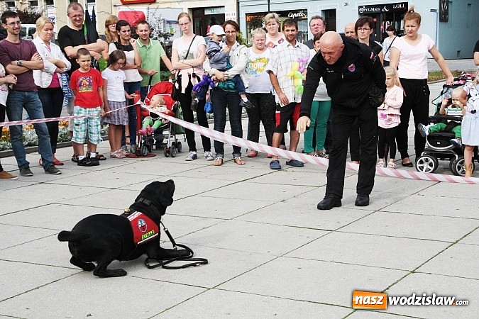 Zdjęcie w galerii na portalu naszwodzislaw.com: Zwierzęta przez kilka godzin rządziły na wodzisławskim rynku wiadomości z regionu