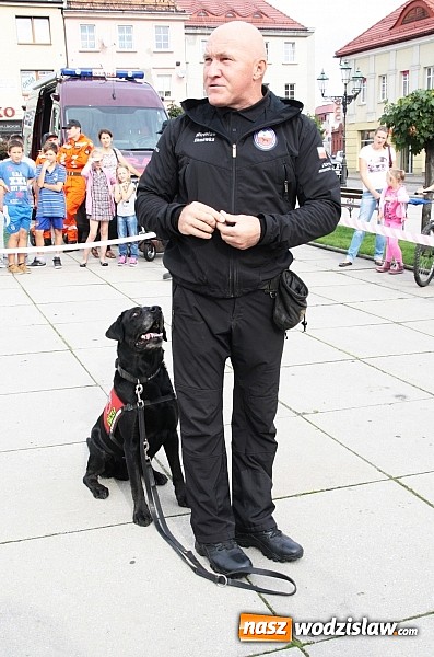 Zdjęcie w galerii na portalu naszwodzislaw.com: Zwierzęta przez kilka godzin rządziły na wodzisławskim rynku wiadomości z regionu