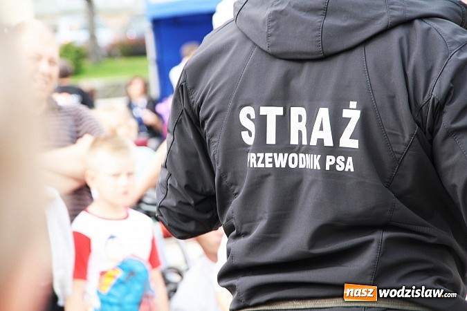 Zdjęcie w galerii na portalu naszwodzislaw.com: Zwierzęta przez kilka godzin rządziły na wodzisławskim rynku wiadomości z regionu