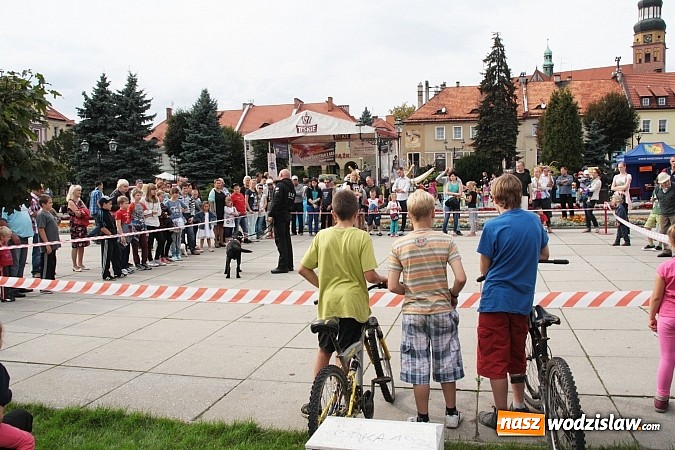 Zdjęcie w galerii na portalu naszwodzislaw.com: Zwierzęta przez kilka godzin rządziły na wodzisławskim rynku wiadomości z regionu